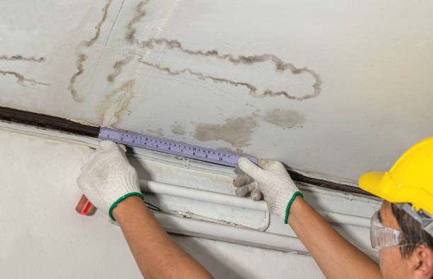 Reliable Mold Remediation contractor in Almira, WA by Water Damage Irwin
